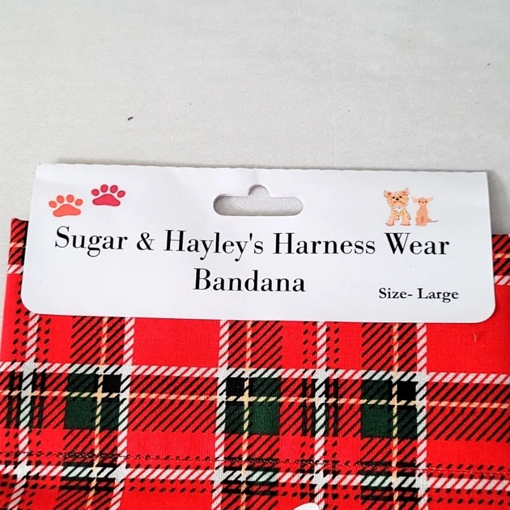sugar and hayley sugar hayley